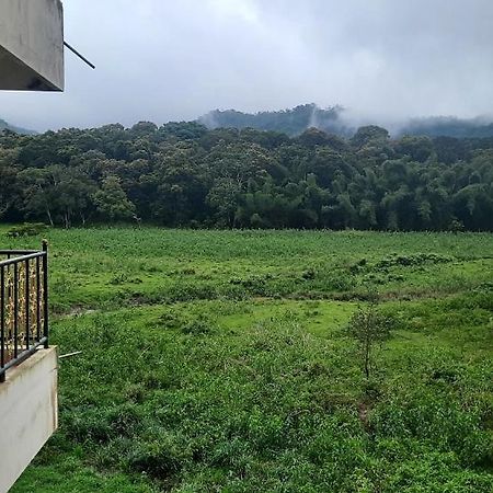 Jungle Palace Homestay テッカディ エクステリア 写真
